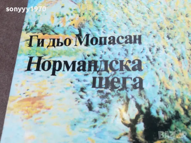 НОРМАНДСКА ШЕГА 2001251934, снимка 8 - Художествена литература - 48758199