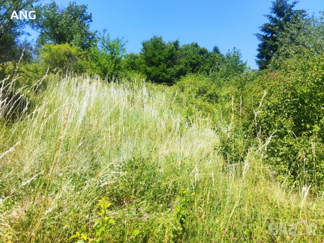 Продава парцел в гр.Девин , снимка 6 - Парцели - 50804650