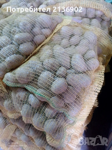 Продавам картофи за консумация СОРАЯ, снимка 2 - Домашни продукти - 53970009