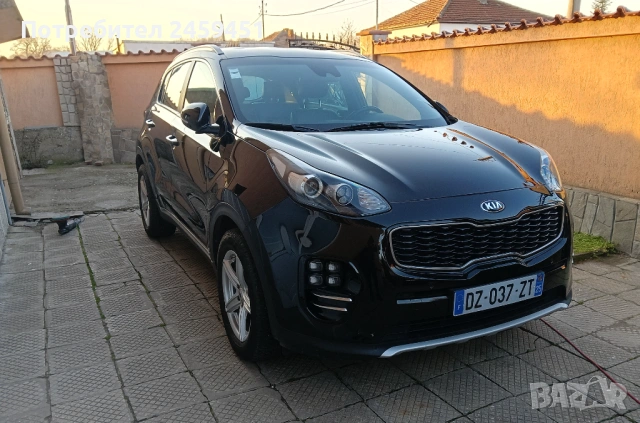 Професионално пастиране, снимка 11 - Пастиране - 45295856