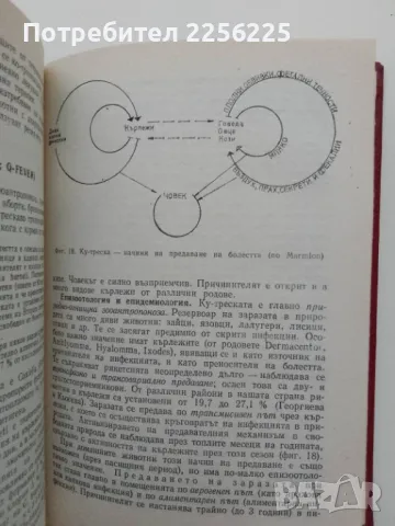 "Зоонози", снимка 3 - Специализирана литература - 47384257