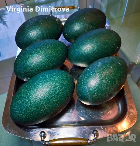 Оплодени яйца от Ему 