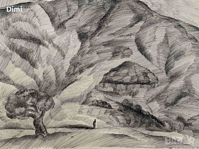 ЕЛКА НАЙДЕНОВА пейзаж – туш, снимка 3 - Картини - 52804184