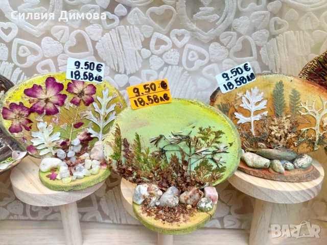 Сувенир за подарък, уют в дома или късче природа за офиса 😉, снимка 3 - Декорация за дома - 53608190