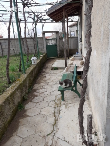Продавам къща в с.чорбаджийско , снимка 14 - Къщи - 53723090