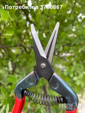 ЯПОНСКА НОЖИЦА 175мм Chikamasa T-5C red, снимка 3 - Градински инструменти - 50040759