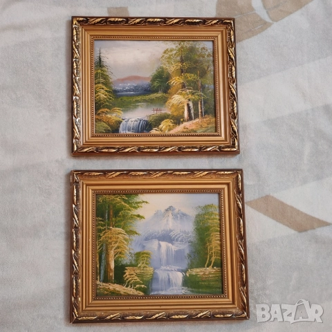 Две картини, рамкирани. 