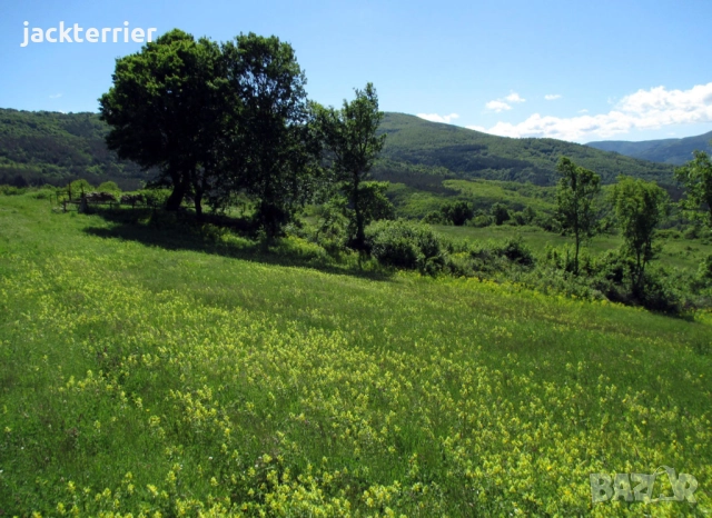 Бягство от града, снимка 2 - Земеделска земя - 51498219