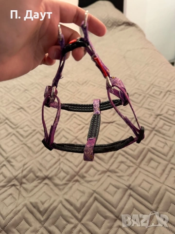 Нагръдник за куче , снимка 2 - Други - 54202357