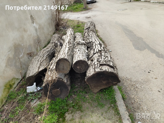 Дървен материал на трупи , снимка 8 - Други - 53972698