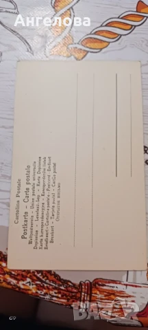 Стари картички пощенски , снимка 18 - Колекции - 50668172