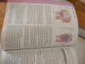 Clinical medicine 9th edition , снимка 6
