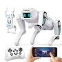 🤖 Интелигентно куче робот с дистанционно управление — игра, която учи! (STEM), снимка 1