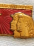 Стара рядка значка с емайл ЗА КОМУНИСТИЧЕСКИ ТРУД за КОЛЕКЦИЯ 50030, снимка 3