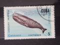 1984 г. Китове и делфини.  Куба., снимка 4
