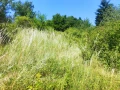 Продава парцел в гр.Девин , снимка 6