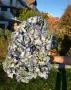 Кичеста едра хортензия изкуствена, снимка 3