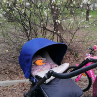 Бебешка количка Jane Muum 2 в 1, снимка 12 - Детски колички - 45037210