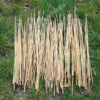 Бамбукови пръчки, снимка 1 - Градински цветя и растения - 45854207