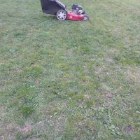 Косене на трева и райграс , снимка 6 - Други услуги - 45240191