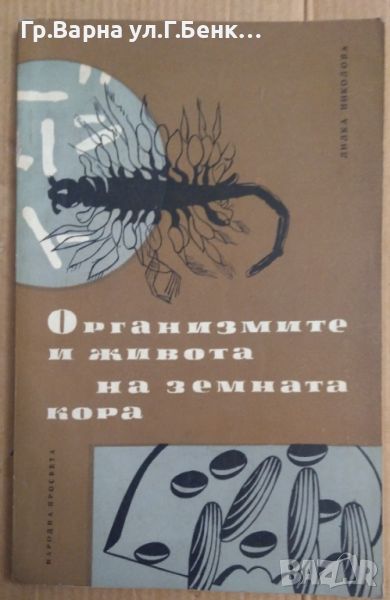 Организмите и живота на земната кора  Лилка Николова 7лв, снимка 1