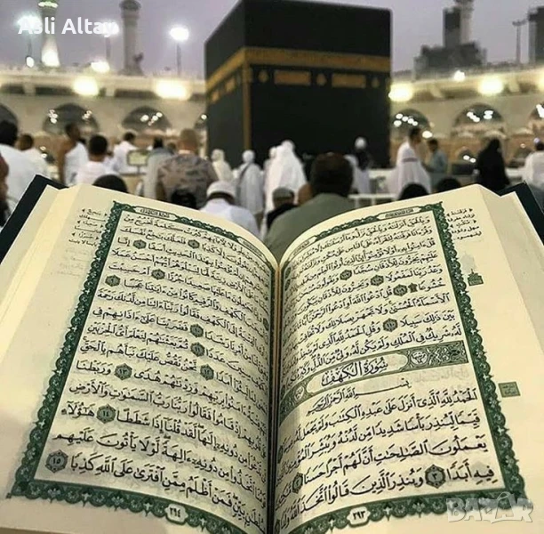 Ходжа Asli Altay, снимка 1