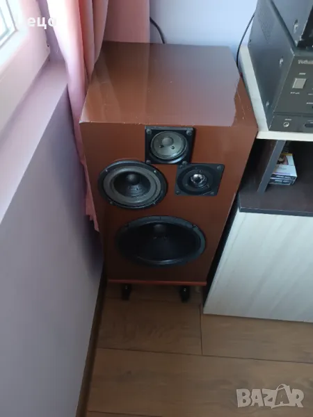 Тонколони четирилентови, снимка 1