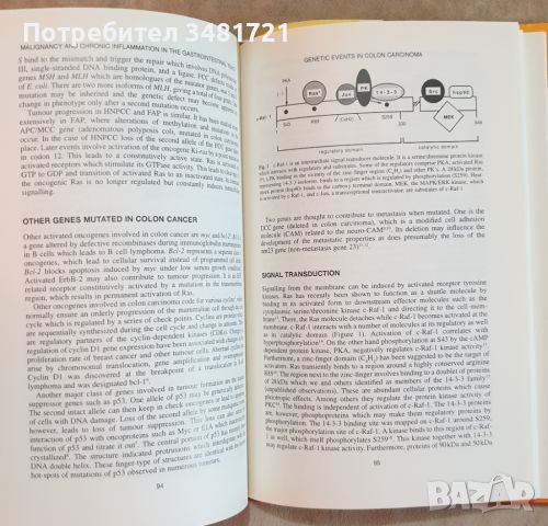 Злокачествени заболявания и хронични възпаления в стомашно-чревния тракт / Malignancy and Chronic In, снимка 4 - Специализирана литература - 46497170