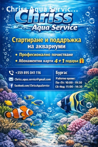 Стартиране и поддръжка на аквариуми 