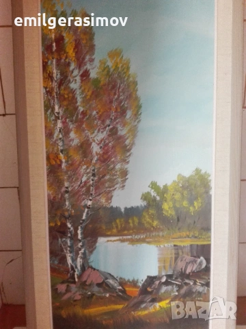 Две маслени картини и красив гоблен., снимка 9 - Картини - 54238495