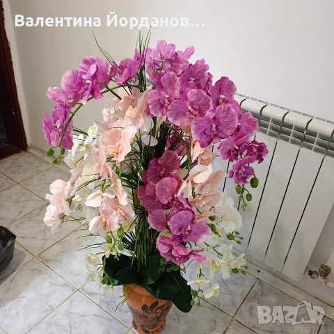огромна орхидея в керамична ваза с 22 цветоноса, снимка 2 - Декорация за дома - 52905781