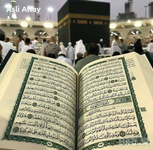 Ходжа Asli Altay