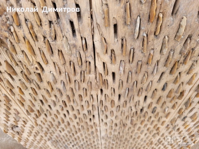 Продавам диканя със запазени кремъчни камъни., снимка 5 - Антикварни и старинни предмети - 53689244