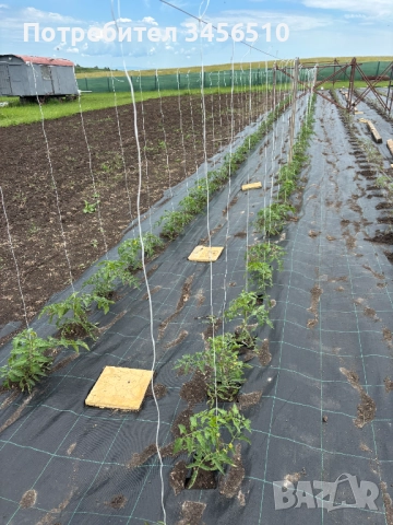 Стопанство за производство на зеленчуци, снимка 5 - Земеделска земя - 52690807
