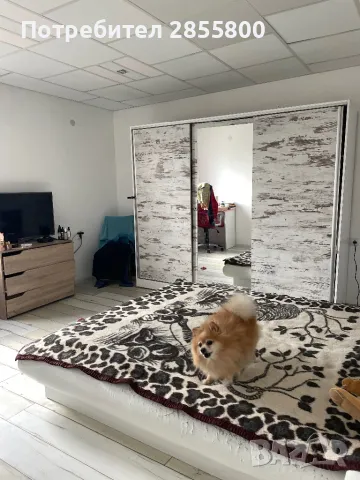 Къща с.Осмар, снимка 4 - Къщи - 49841308
