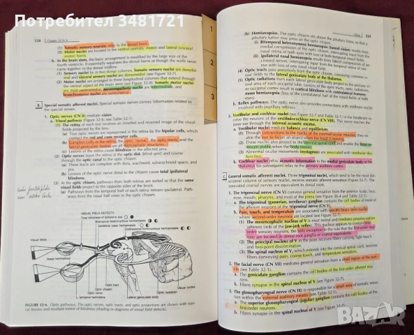 Clinical Anatomy 3rd edition, снимка 10 - Специализирана литература - 53519575
