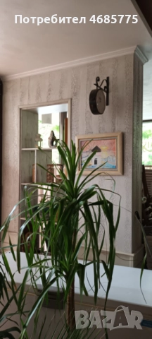 Шпакловка и боядисване | Декоративни мазилки | Професионално изпълнение - София, снимка 5 - Бояджийски услуги - 52826660