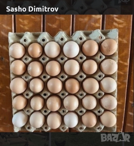 Домашни яйца , снимка 2 - Други животни - 51460536