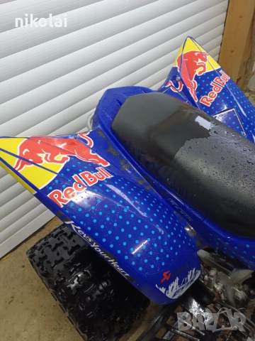 Yamaha RAPTOR 350 2006, снимка 7 - Мотоциклети и мототехника - 52509343