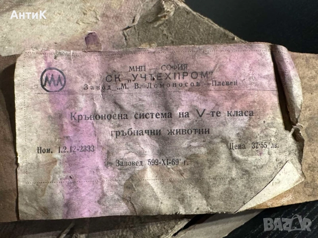 Соц Учебни Табла Помагала по Биология, снимка 3 - Антикварни и старинни предмети - 52516194