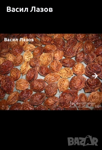 Купувам костилки от праскова, кайсия, череша, синя слива.