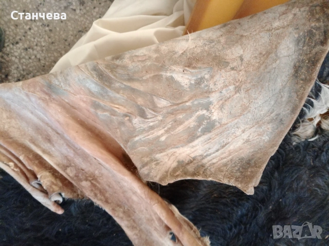 агнешки и кози кожи , снимка 5 - Антикварни и старинни предмети - 53671618
