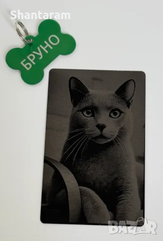 Комплект за домашен любимец – Гравирана снимка върху метална карта + Персонална плочка с име