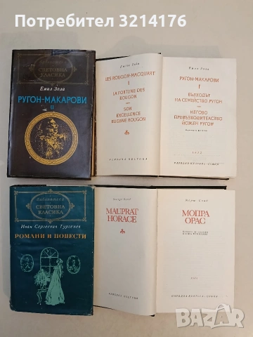 Ругон-Макарови. Том 1-2 - Емил Зола (Световна класика), снимка 2 - Художествена литература - 53608271