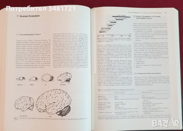 Човешката генетика - проблеми и подход / Human Genetics. Problems and Approaches, снимка 9 - Специализирана литература - 46215326