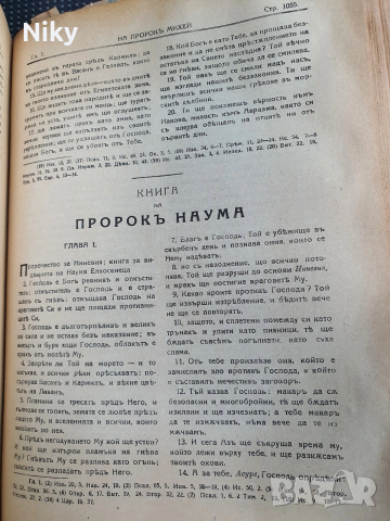 Библия-Семейна Литопис 1925г. , снимка 11 - Антикварни и старинни предмети - 52721150
