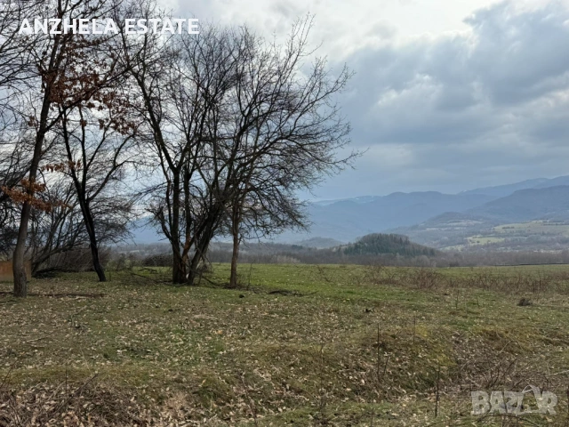 🏡 ПРОДАВА СЕ ИМОТ С ПАНОРАМНА ГЛЕДКА КЪМ ЯЗОВИР СОПОТ – С. ГОЛЯМА ЖЕЛЯЗНА, снимка 5 - Парцели - 53958452