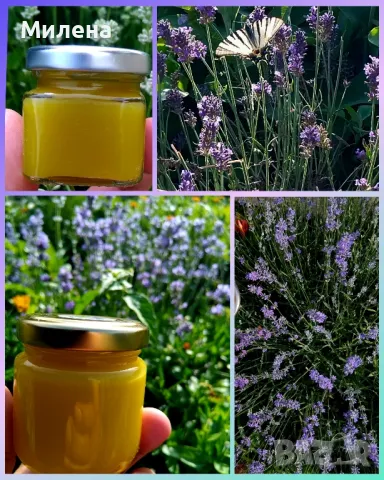 Домашен мехлем от лавандула 