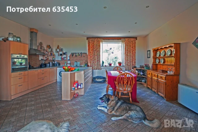 Продава 205 м2 обзаведена къща с 4000 м2 двор  на 7 км от Провадия, снимка 10 - Къщи - 51003113