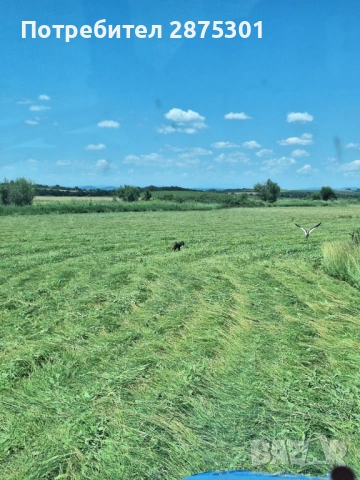 Бали Сено, снимка 2 - За селскостопански - 53941423